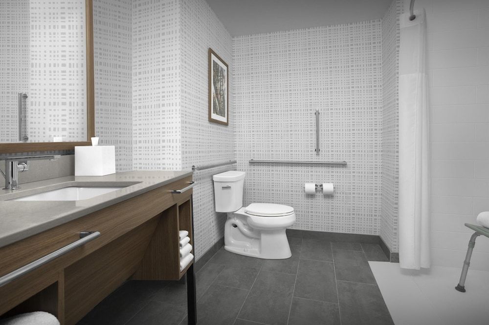 Room, 1 King Bed, Accessible (Mobility & Hearing, Roll-in Shower)