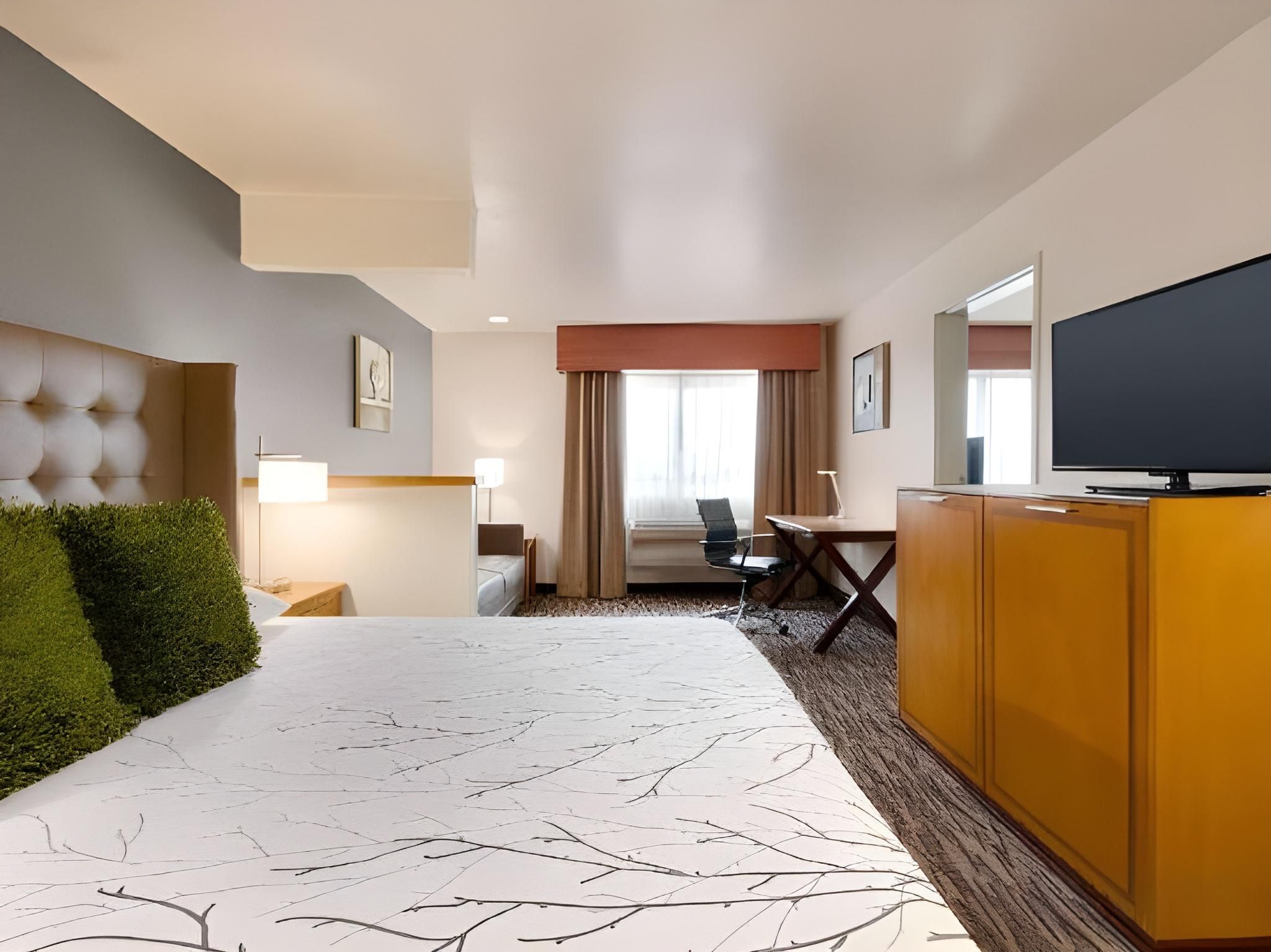Accessibility - 1 King, Walk-in Shower, Nonsmoking