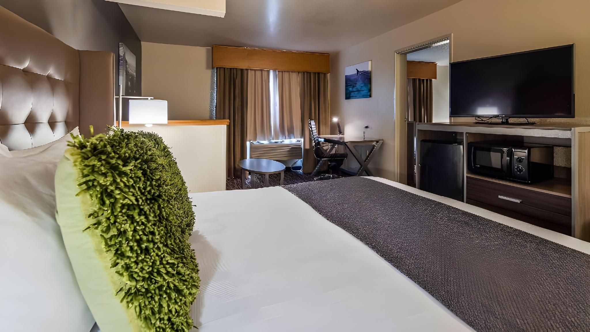 1 King Bed, Nonsmoking, Sofabed