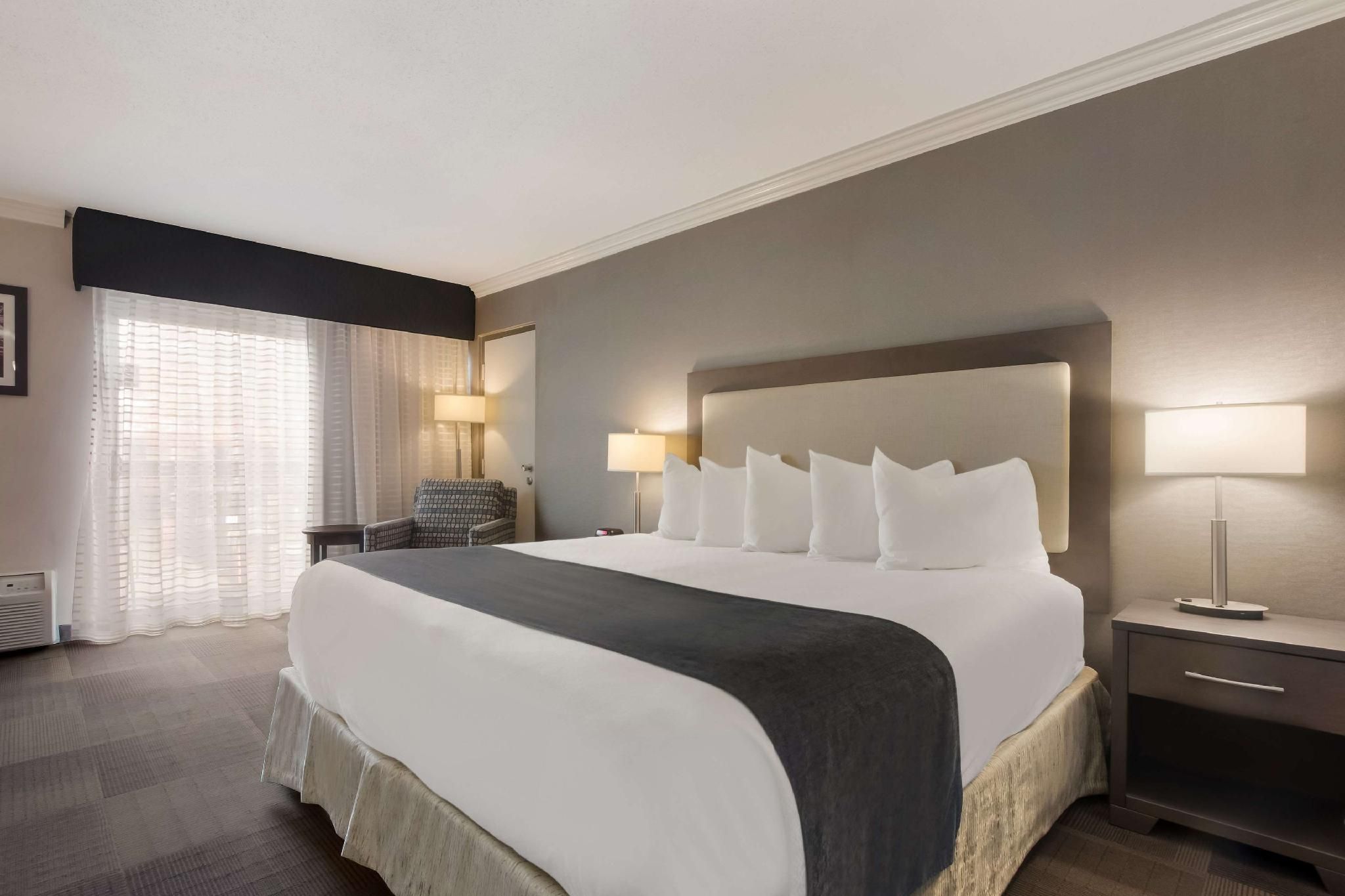 1 King Bed, Nonsmoking, Executive Room