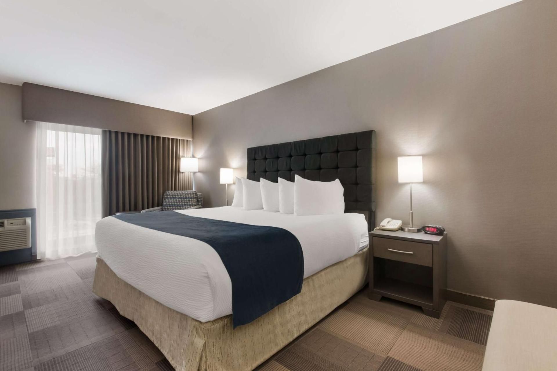 1 King Bed, Nonsmoking, Executive Room