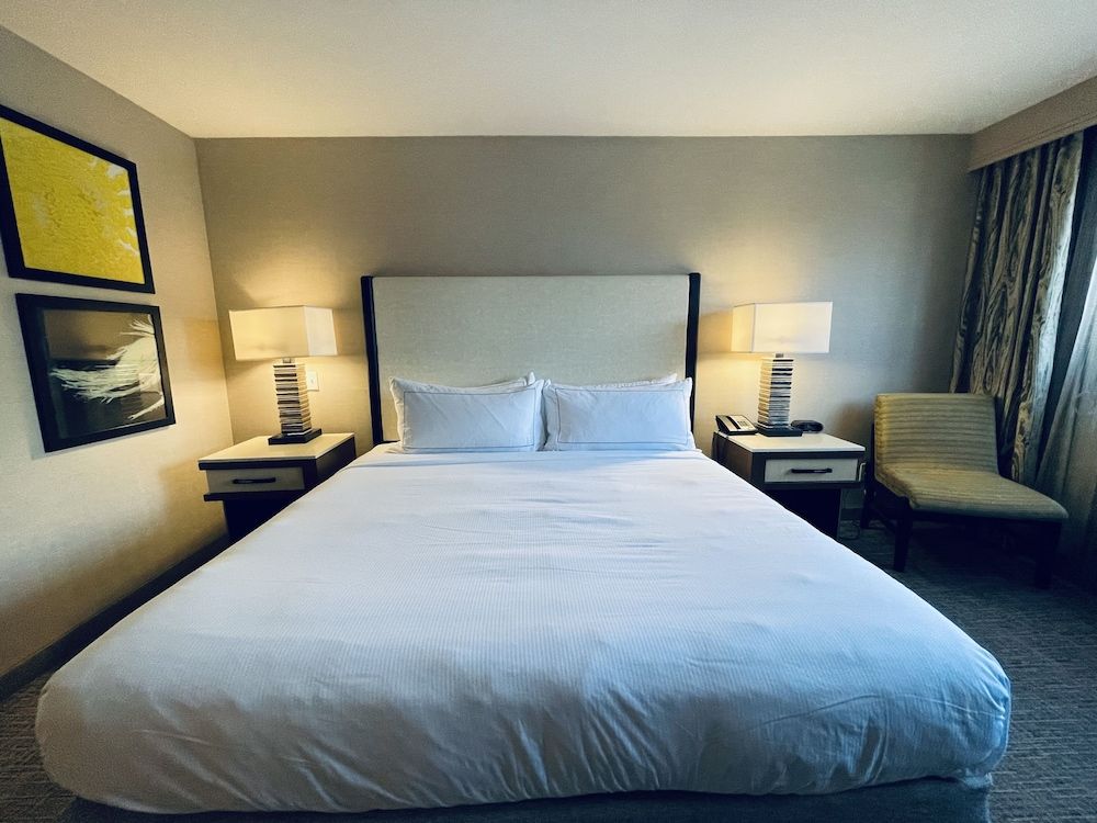 Room, 1 King Bed, Accessible (Roll In Shower)