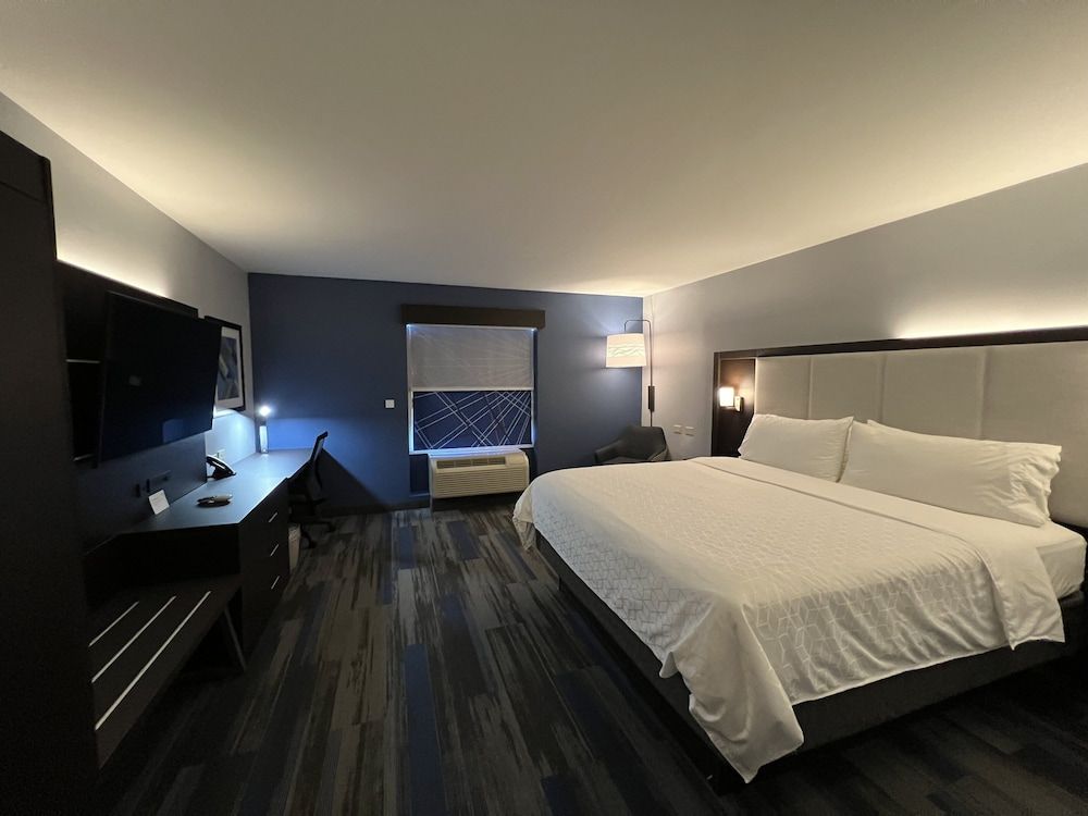 Suite, 1 King Bed with Sofa bed