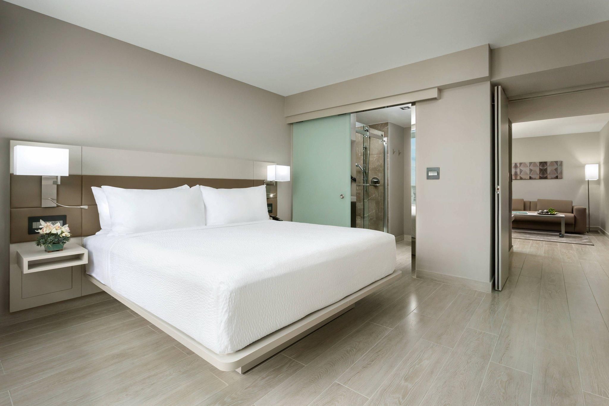 1 Bedroom 2 Room Suite, 1 King, Sofa Bed, Partial Ocean View, Balcony