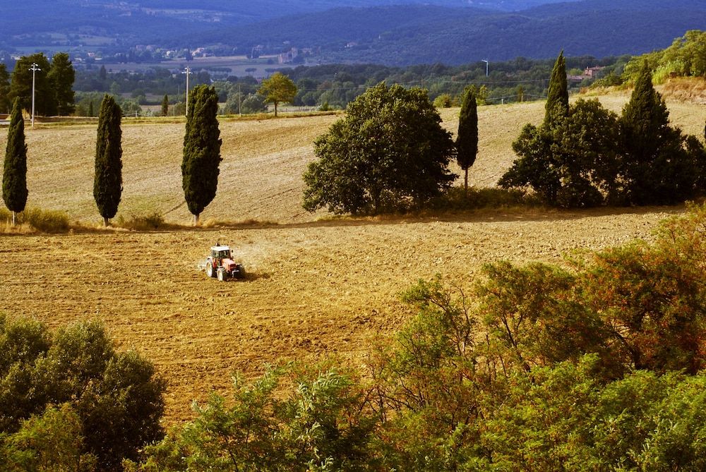 Castello Junior Studio Suite 5