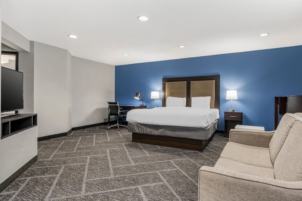 Executive Room, 1 King Bed, Non Smoking, Fireplace (Shower Only;with Single Sofabed)