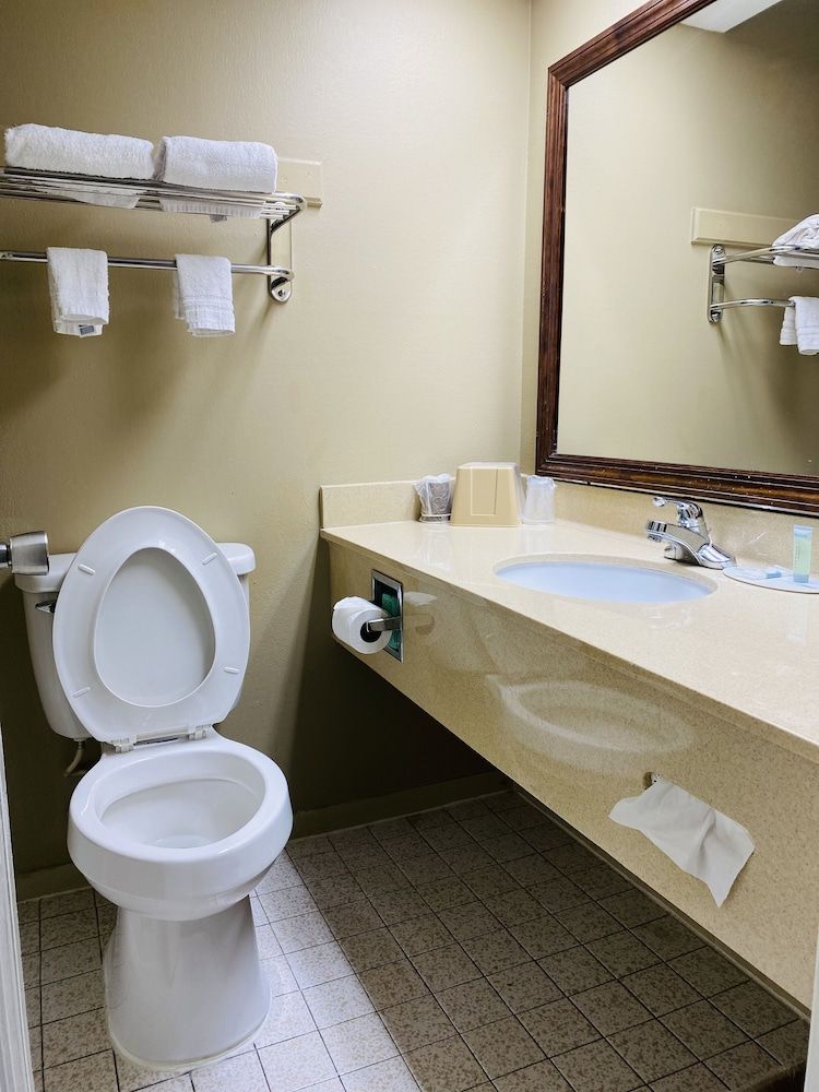 Suite, 1 King Bed