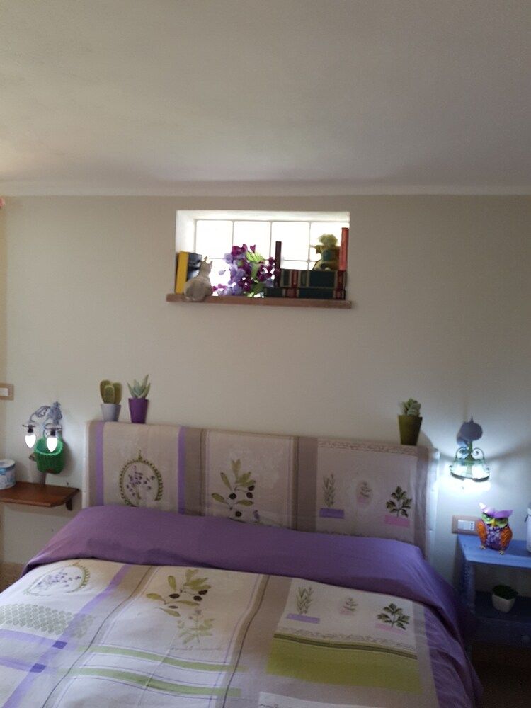 Comfort Quadruple Room