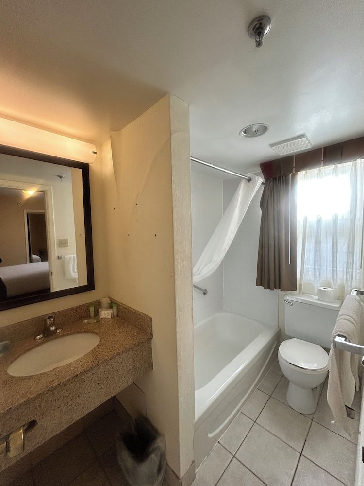 Basic 1 Queen Bed Suite - Main building