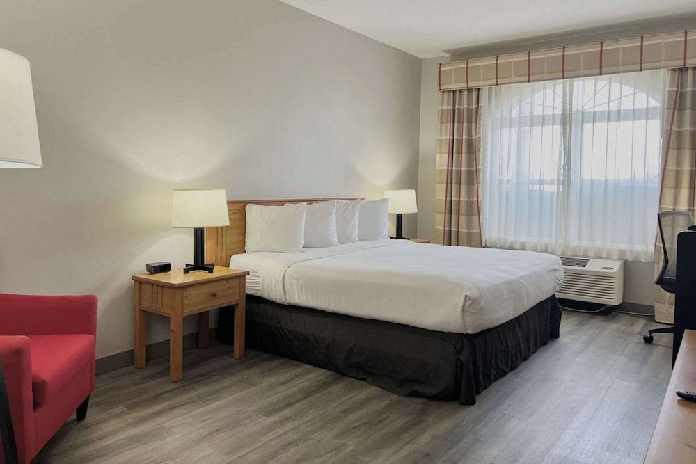 Room, 1 King Bed, Accessible, Non Smoking