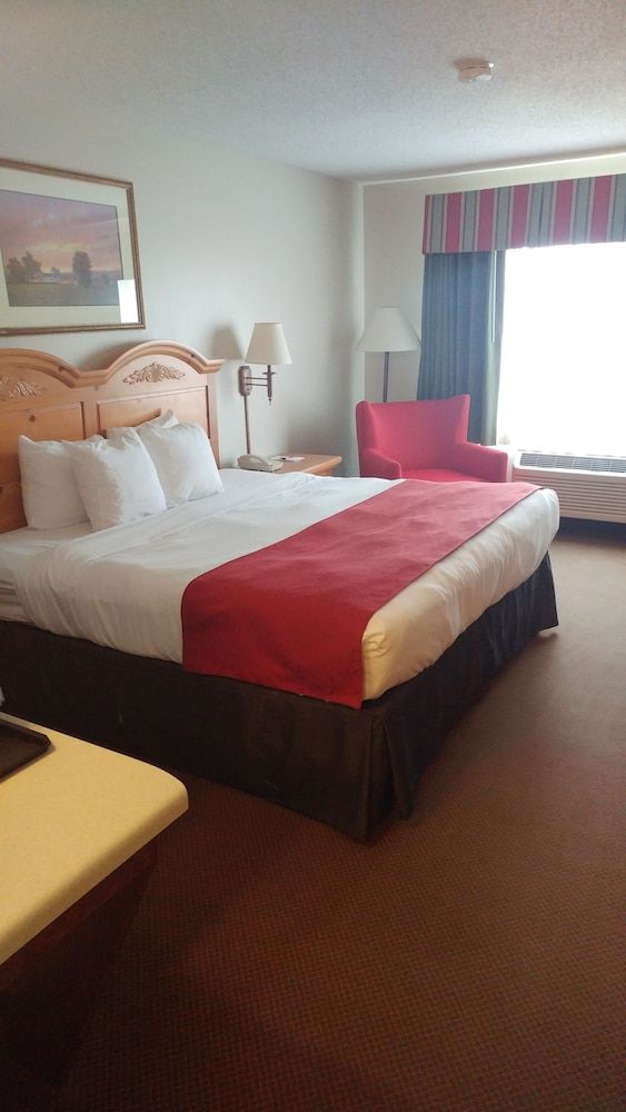 Room, 1 King Bed, Non Smoking
