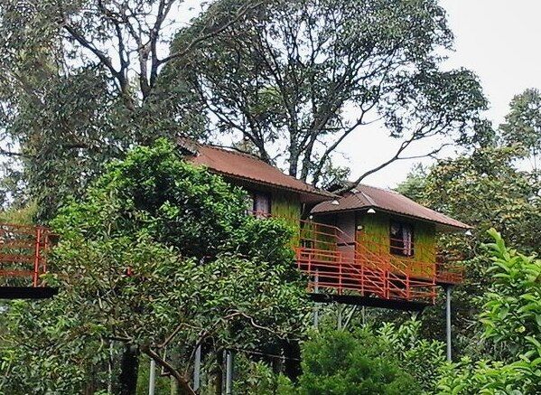 undefined Silver Mount Holidays 2