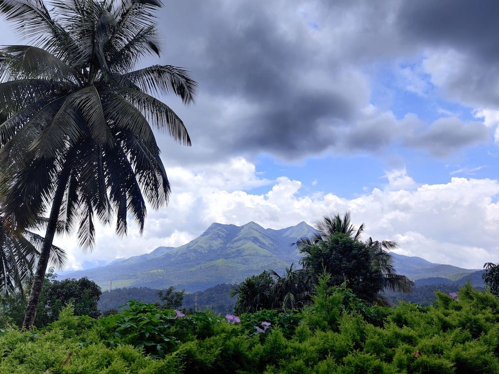 undefined Woodrose Resort 2