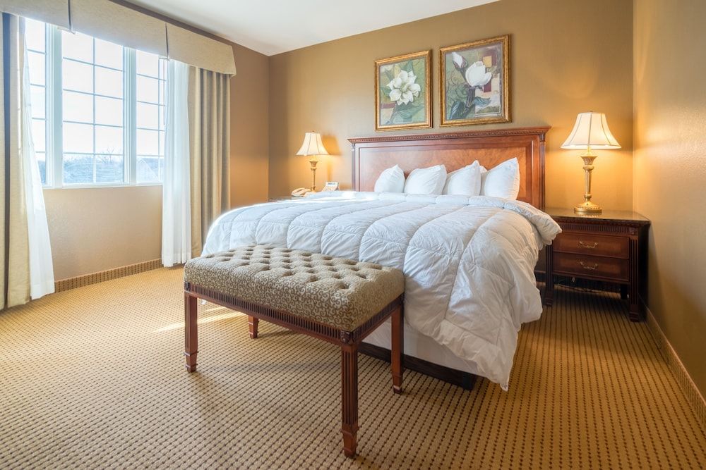 Executive Suite, 1 King Bed with Sofa bed