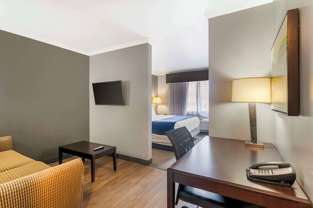 Standard Room, 1 King Bed, Non Smoking, Refrigerator & Microwave (Living Room)