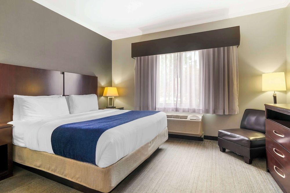 Standard Room, 1 King Bed, Non Smoking, Refrigerator & Microwave (with Sofabed)