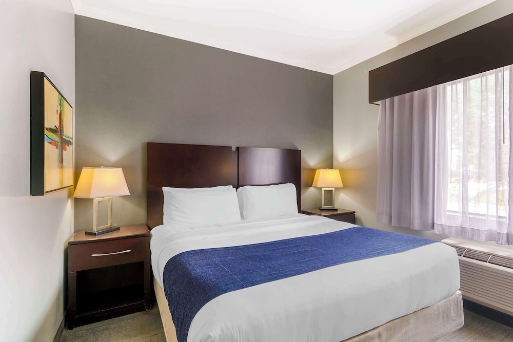 Standard Room, 1 King Bed, Accessible, Refrigerator & Microwave (Living Room)
