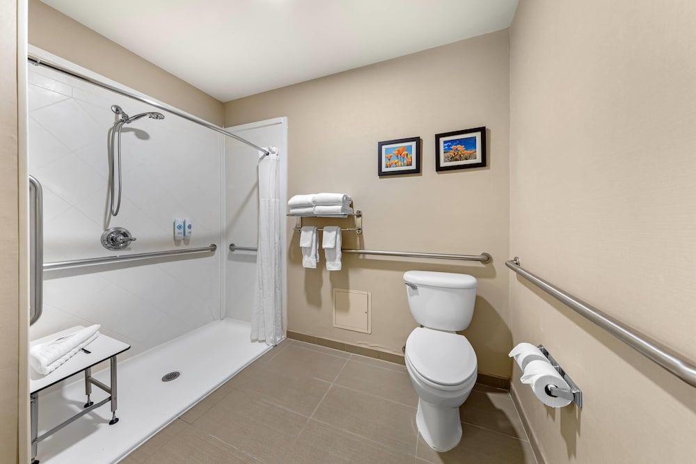 Suite, 1 King Bed with Sofa bed, Accessible, Non Smoking (Roll-In Shower)