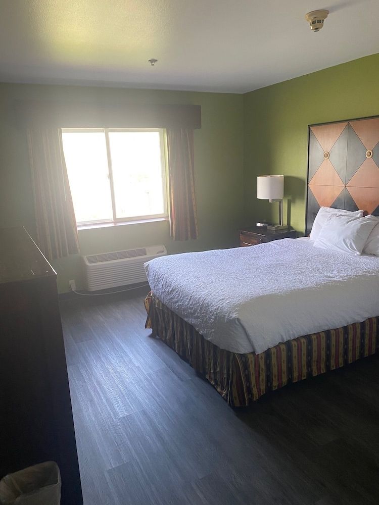 Room, 1 Queen Bed, Roll-in Shower (Accessible)
