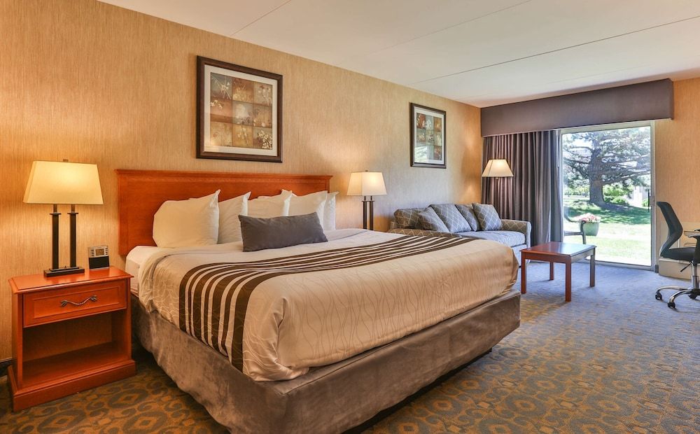 Standard Room, 1 King Bed, Non Smoking (with Sofabed)