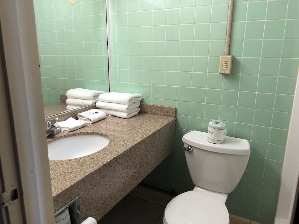 Red Carpet Inn North Syracuse Standard Room, 1 King Bed 11