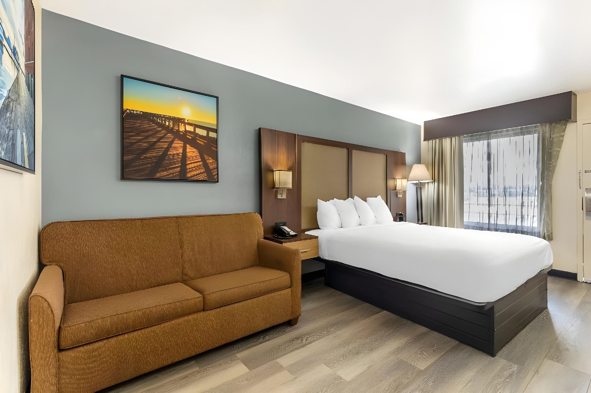 1 King Bed, Nonsmoking, Pet Friendly Room, Sofabed