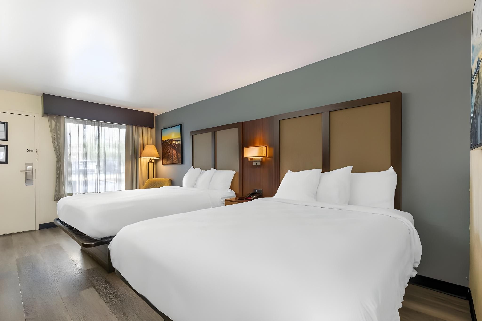 1 King Bed, Nonsmoking, Pet Friendly Room, Sofabed