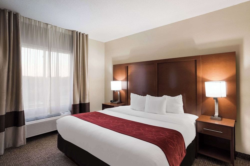 Suite, 1 King Bed with Sofa bed, Non Smoking