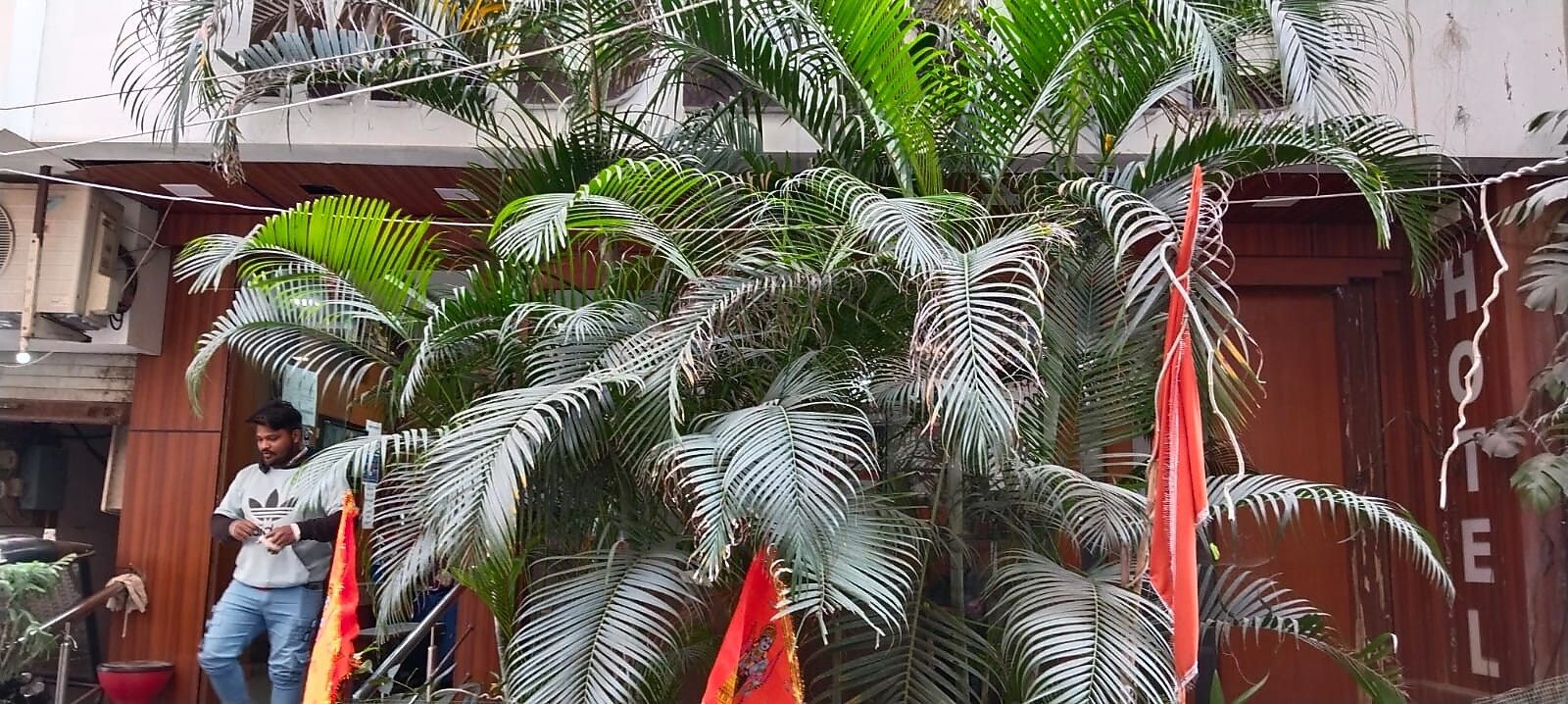 undefined HOTEL MIDLAND 9