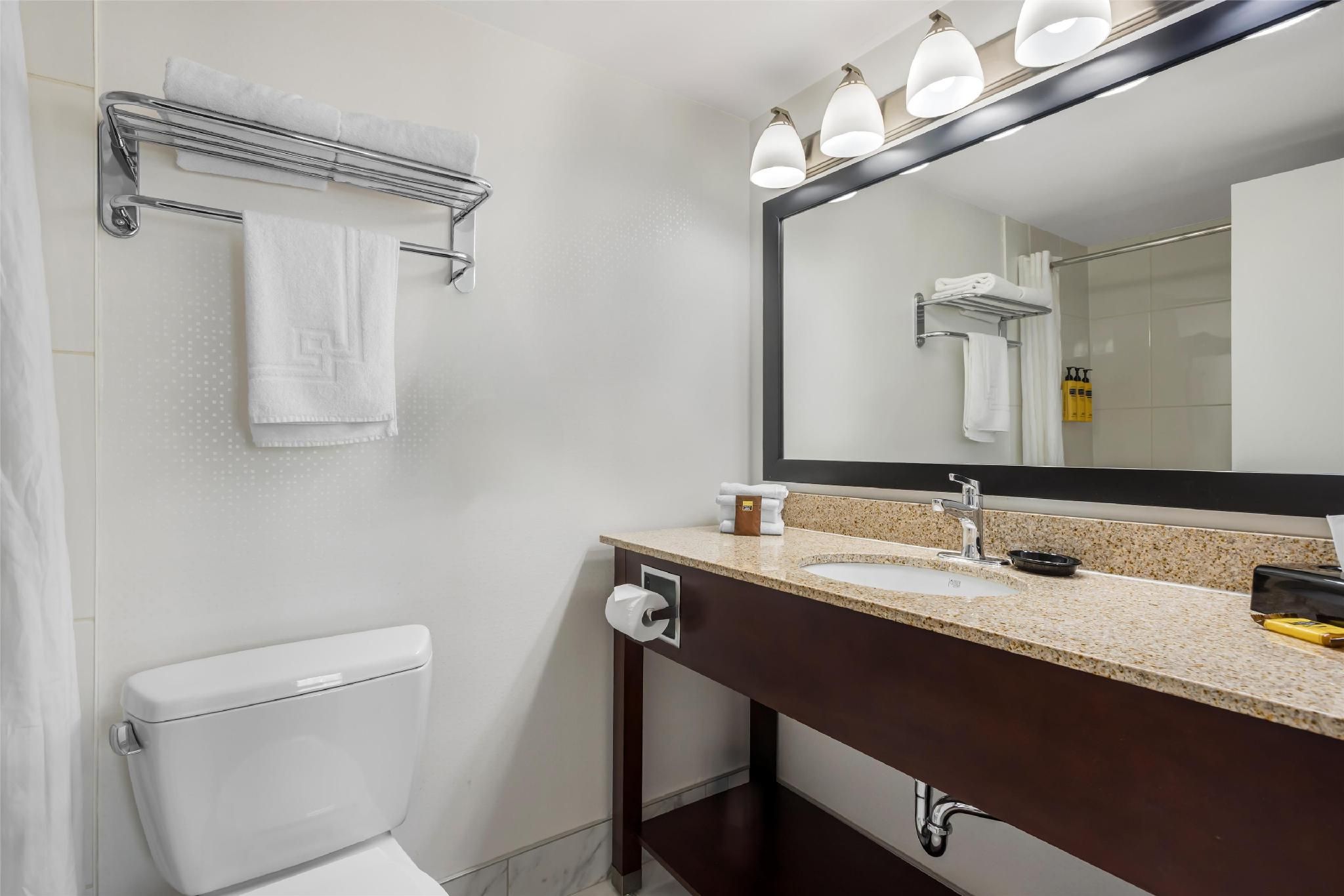 1 King Bed, Nonsmoking, Executive Room