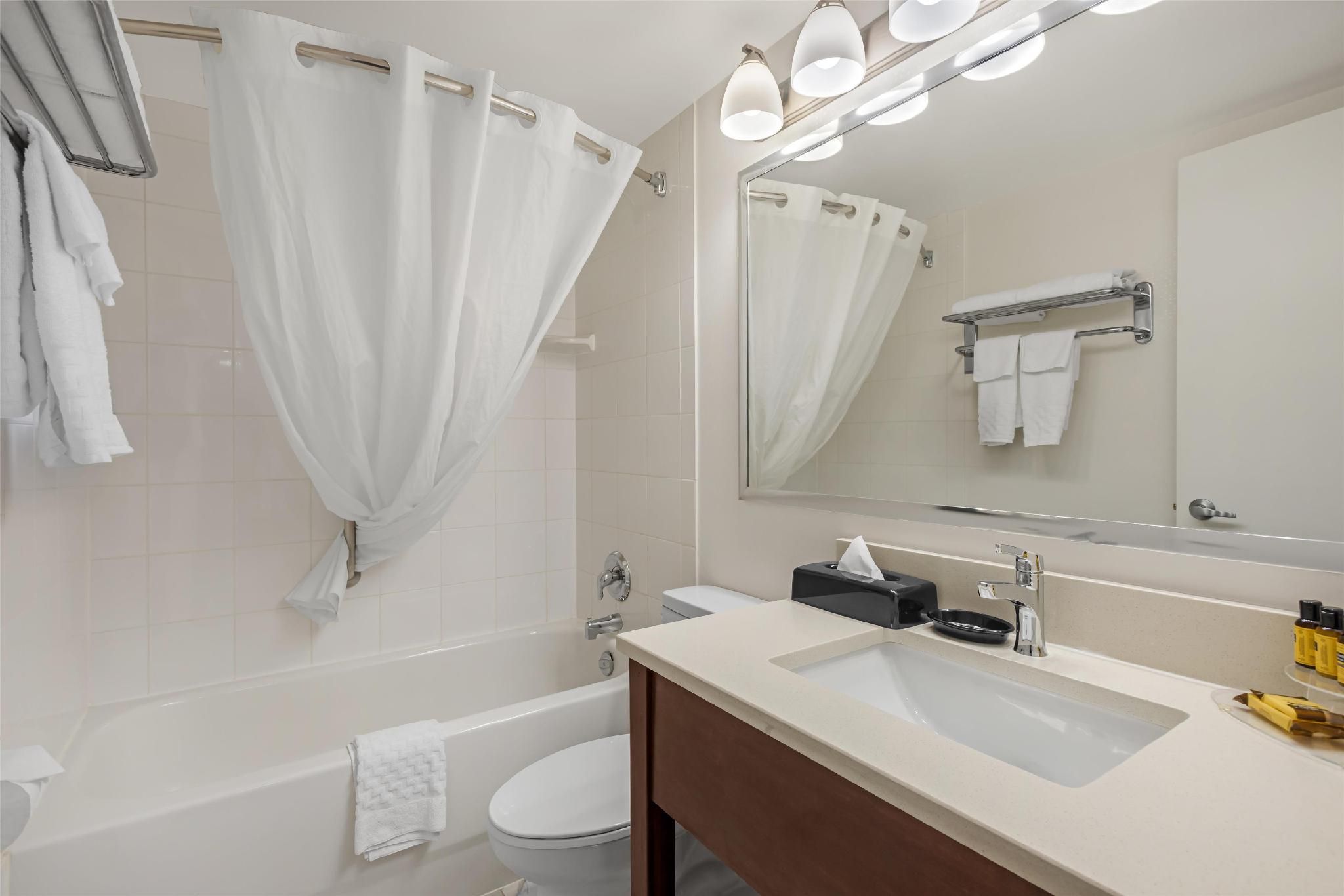 undefined Best Western Plus Suites Downtown 8