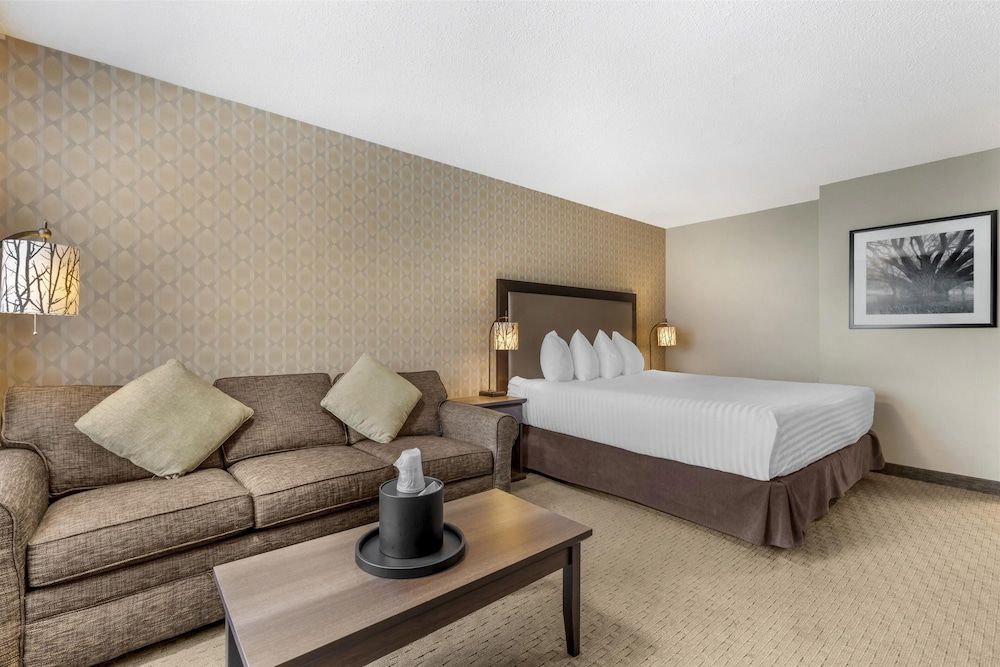 Executive Room, 1 King Bed, Non Smoking, Refrigerator & Microwave (with Sofabed)