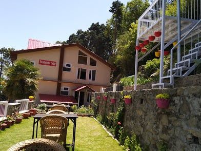 undefined The Majestic Cedar 8