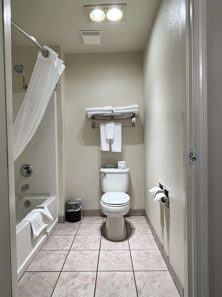 Best Western Americana Suite, 1 King Bed, Non Smoking, Refrigerator & Microwave (with Single Sofabed) 3