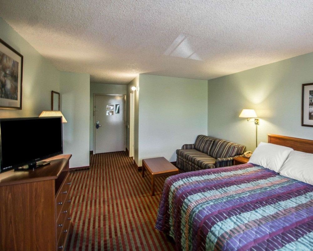 Room, 1 King Bed, Non Smoking (Roll-In Shower)