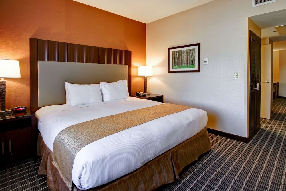 Junior Suite, 1 King Bed