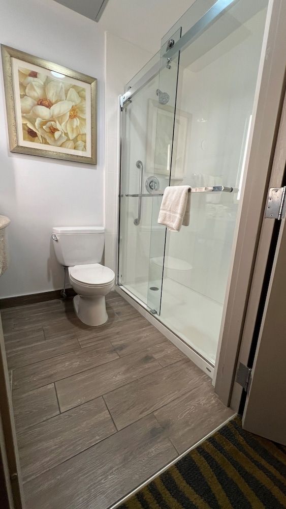 Hilton Garden Inn Lake Buena Vista/Orlando King Evolution Room 6