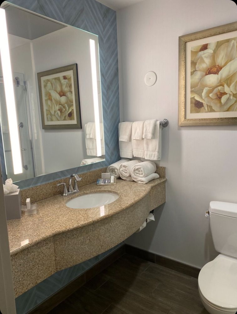 Hilton Garden Inn Lake Buena Vista/Orlando King Evolution Room 5