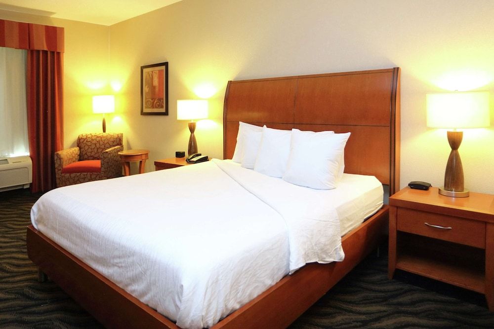 Room, 1 King Bed (Evolution)