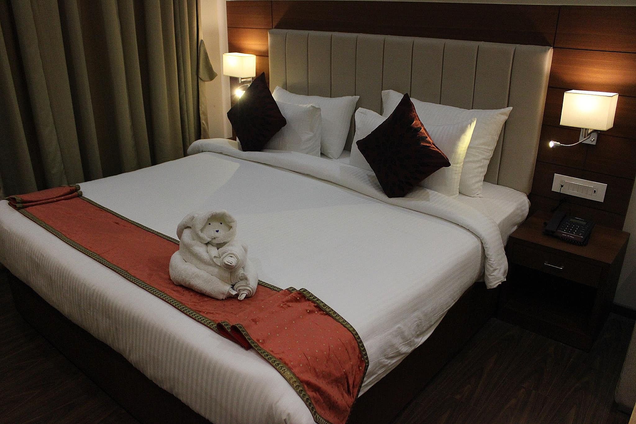 Hotel Tridev Deluxe Room 10