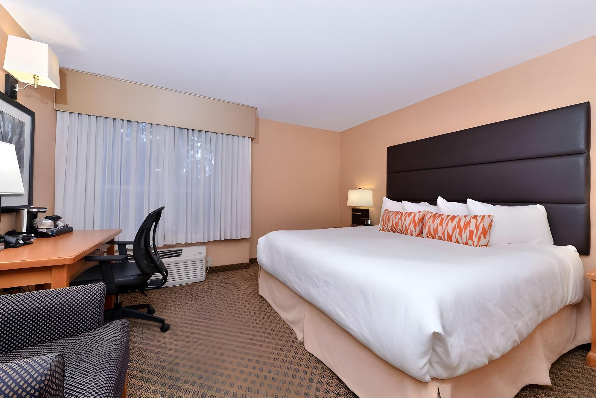 Accessibility - 1 King Bed, Nonsmoking, Business Plus Room