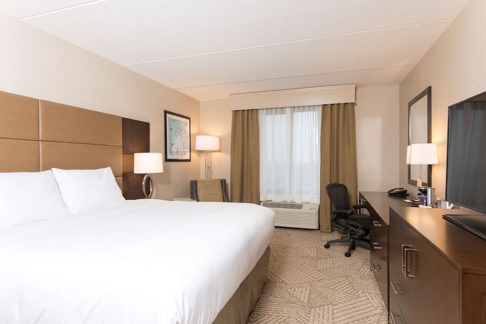 Room, 1 King Bed, Non Smoking
