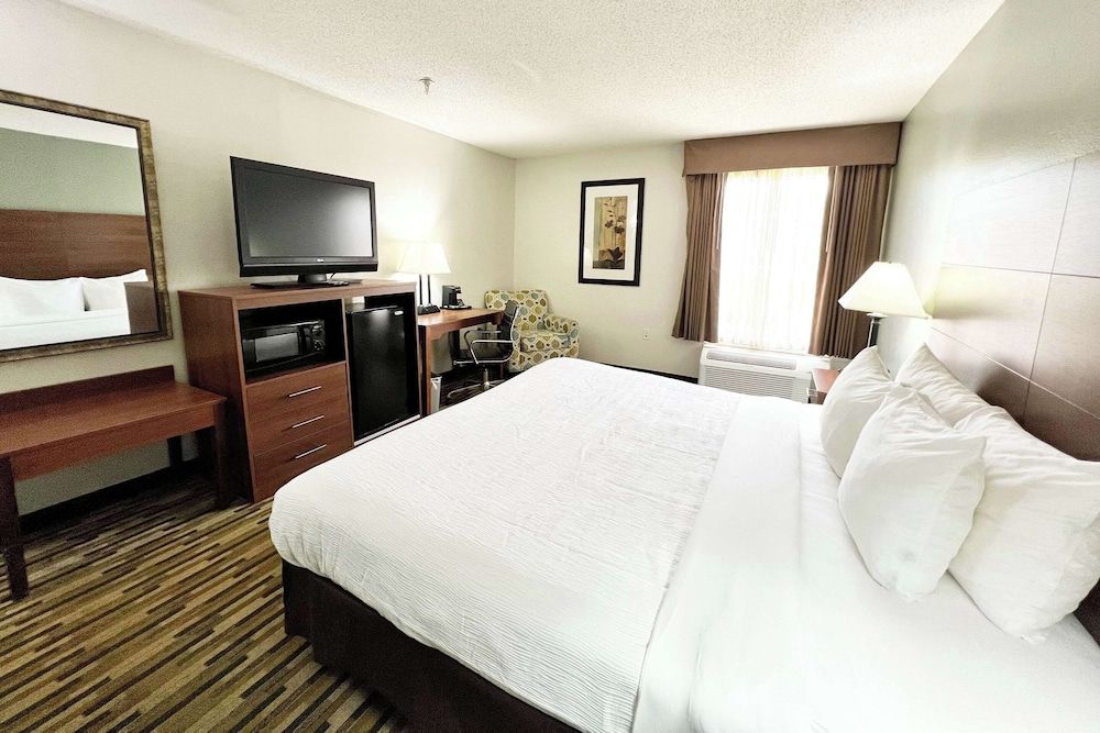 Standard Room, 1 King Bed, Non Smoking