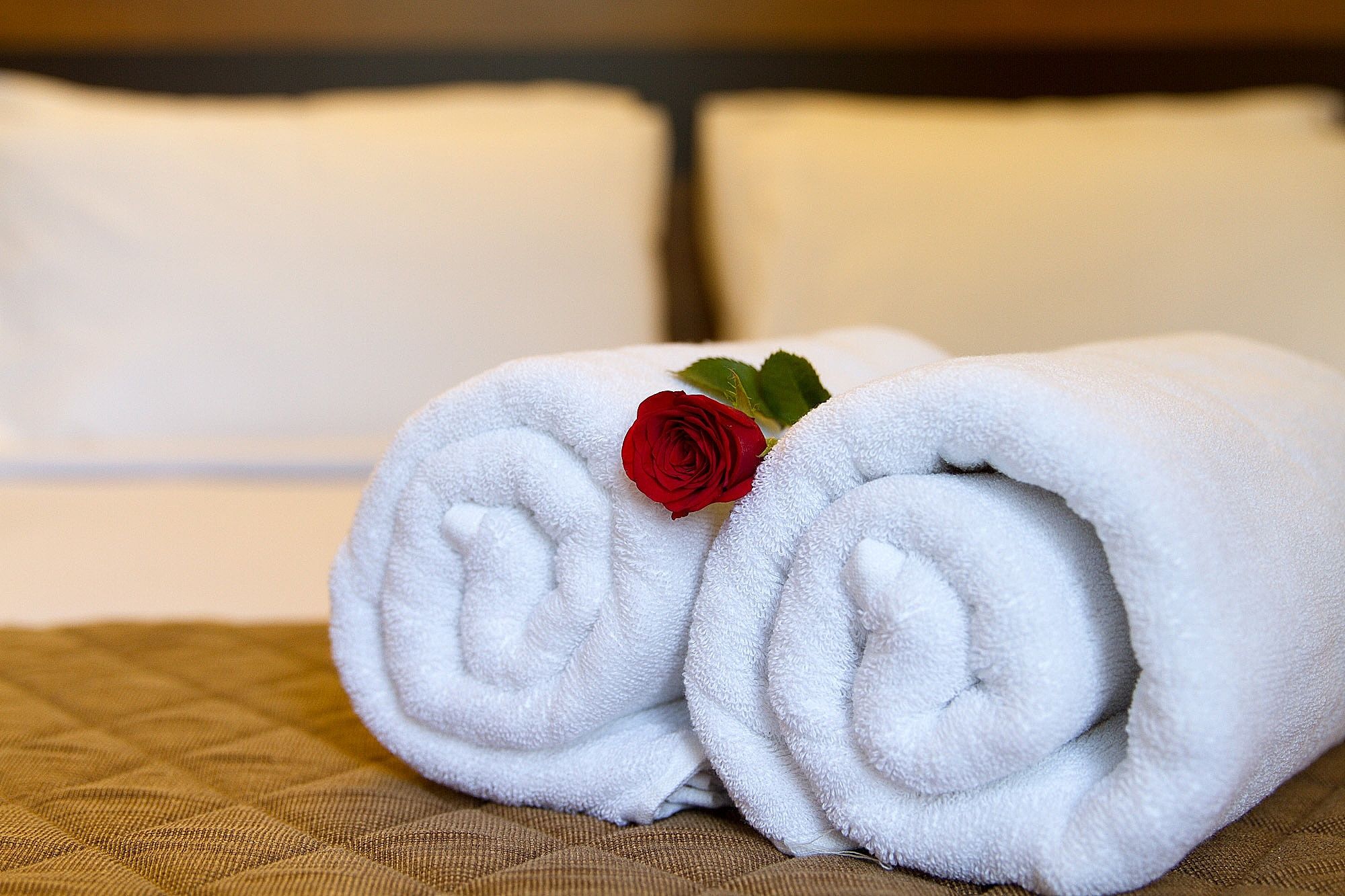 Sanctum Suites Whitefield Bangalore Deluxe Queen Room 11