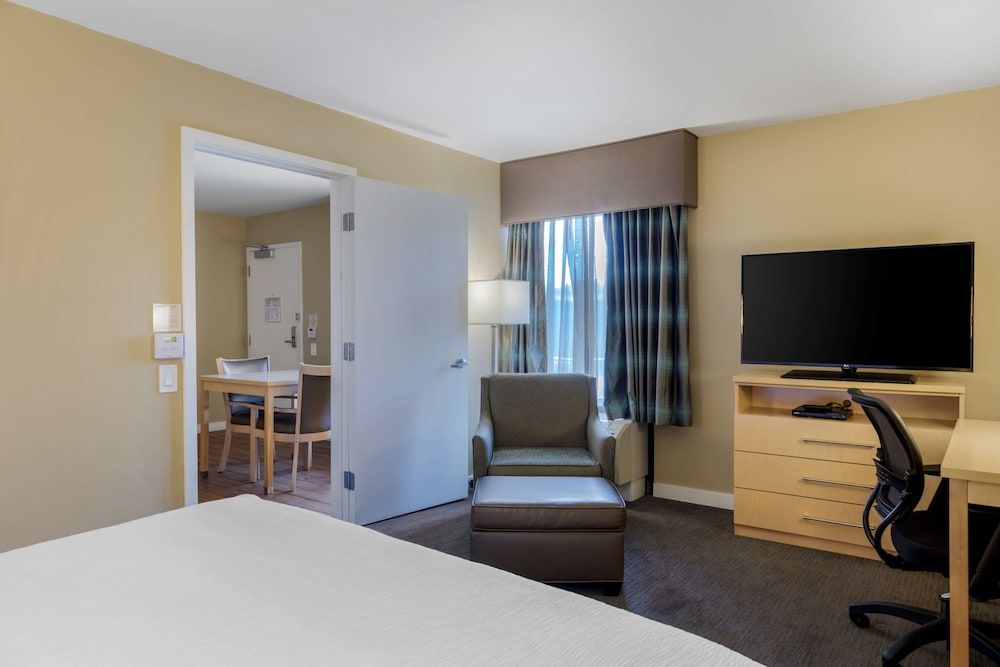 Suite, 1 King Bed, Accessible, Non Smoking (Walk-in Shower;with Sofabed)