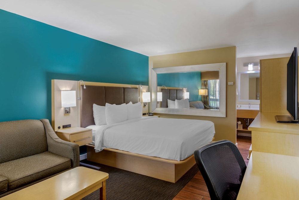 Standard Room, 1 King Bed, Refrigerator & Microwave, Mountain View