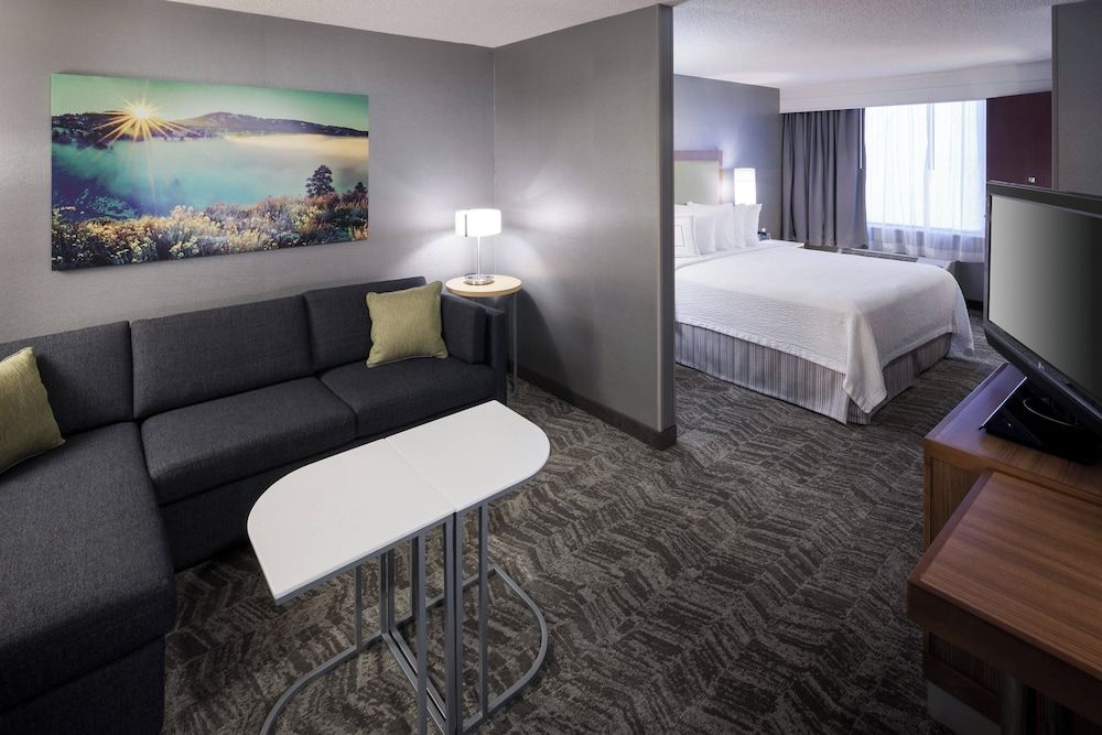 Suite, 1 King Bed with Sofa bed, Non Smoking (Mobility Accessible, Tub)