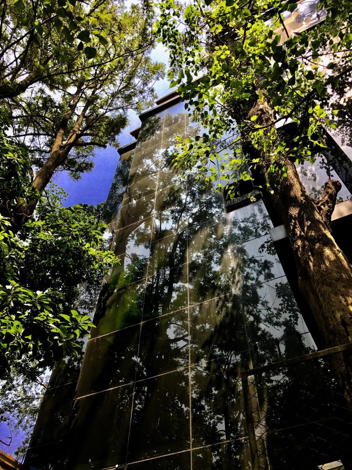 undefined Golden Lotus Boutique Suites Bangalore 10