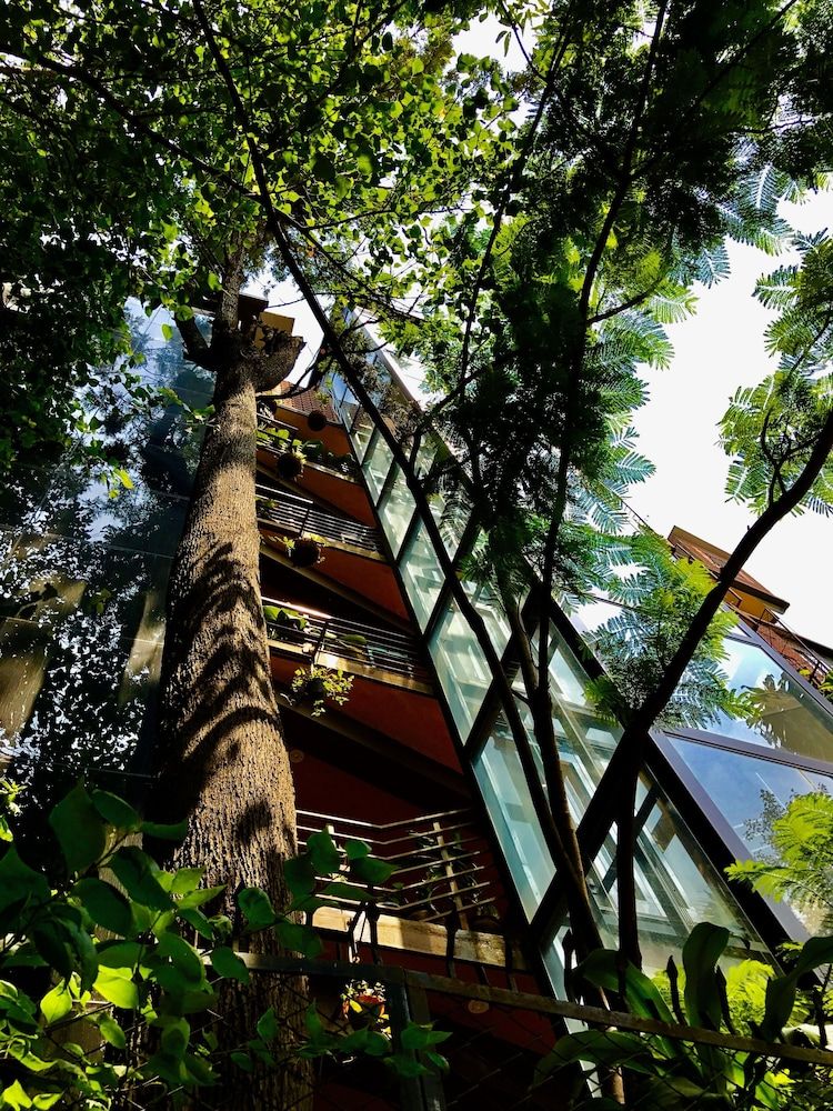 undefined Golden Lotus Boutique Suites Bangalore 8