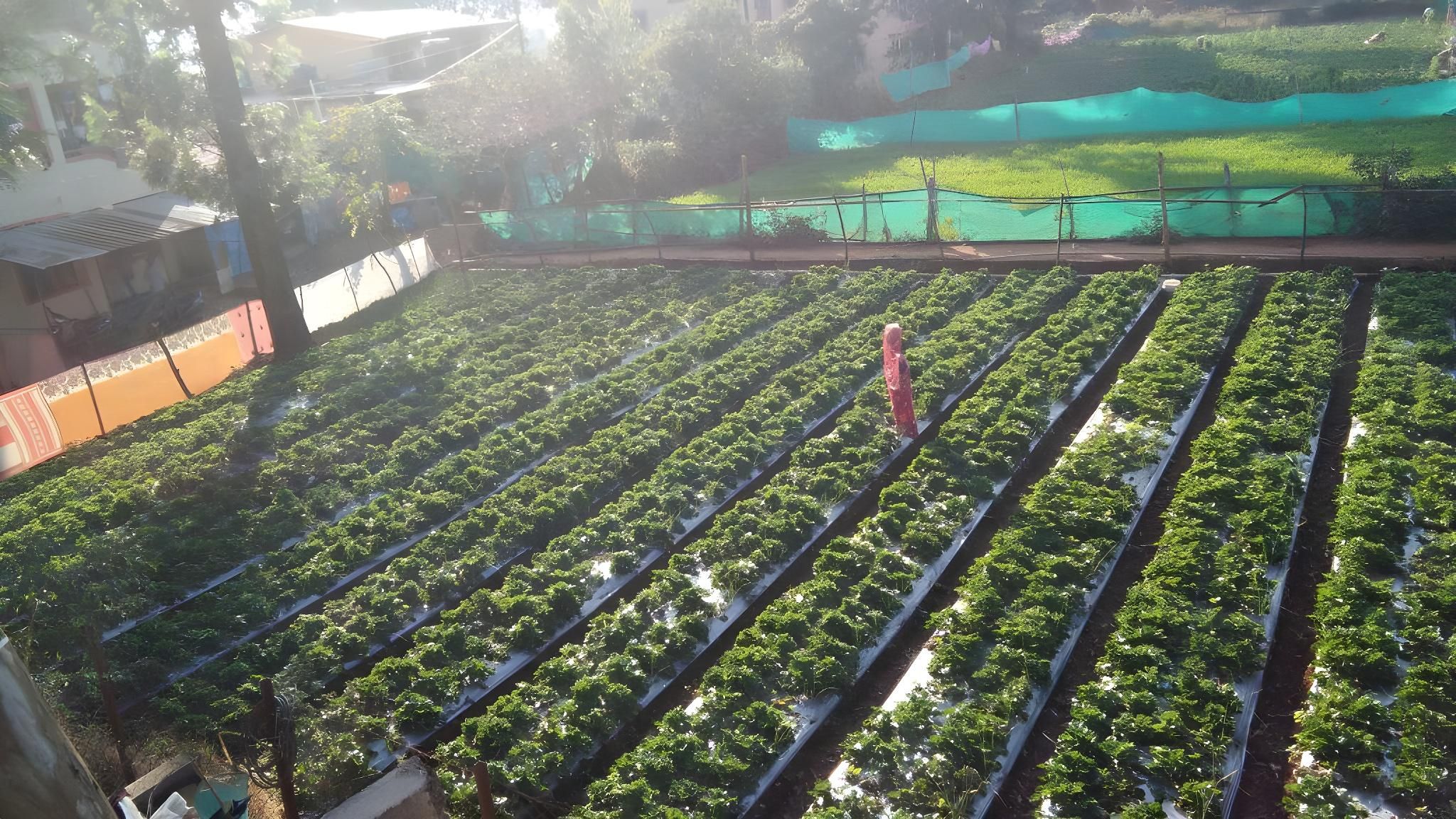 2 Bedroom Suite Pool